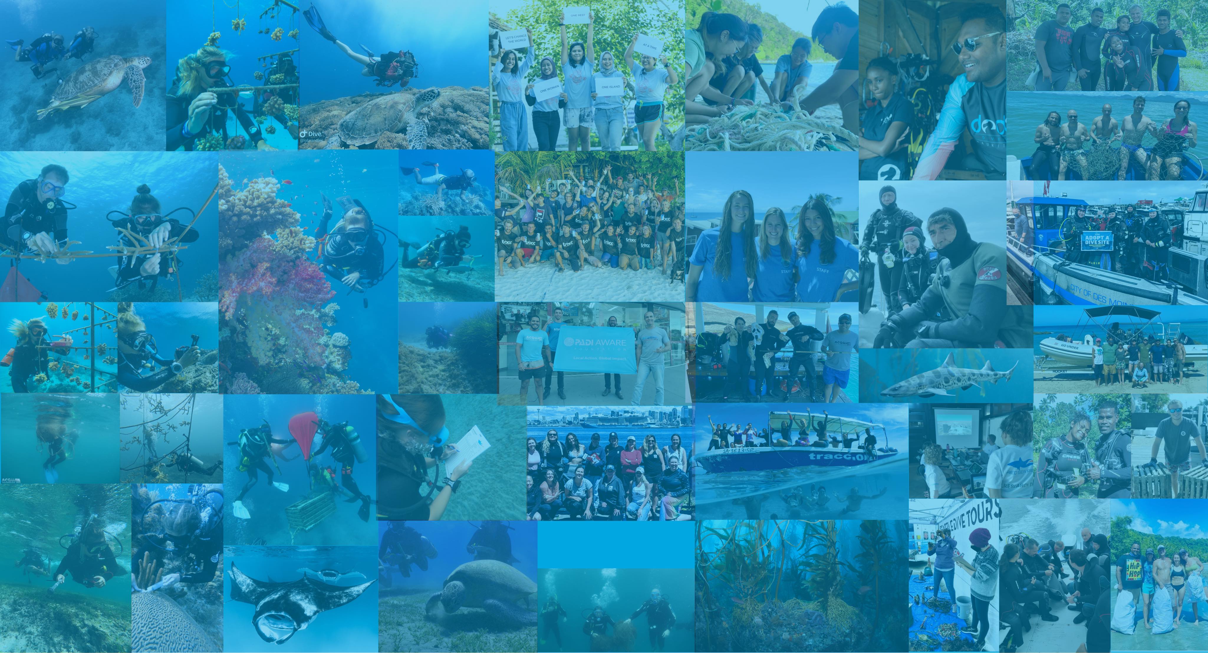 Meet your aware grantees padi